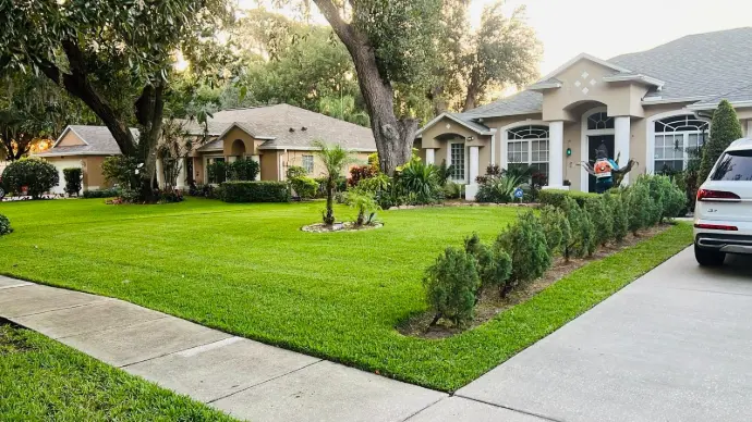 Landscape of Green Garden View Landscape LLc